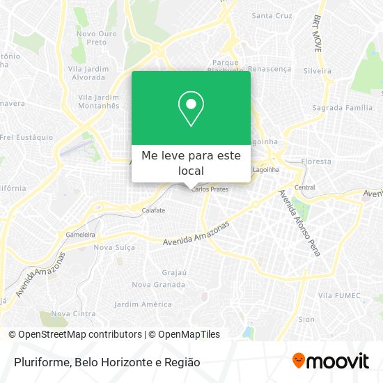 Pluriforme mapa