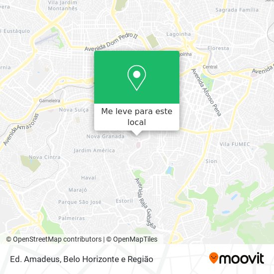 Ed. Amadeus mapa