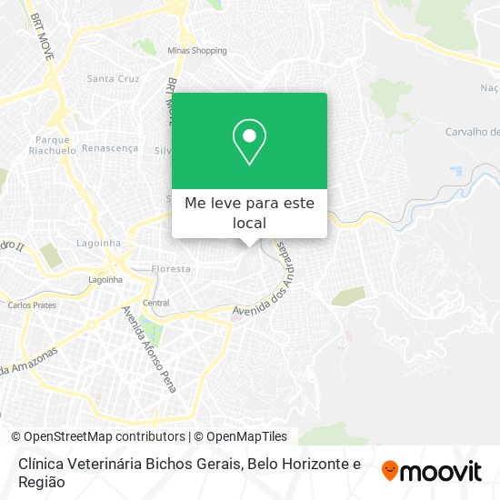 Clínica Veterinária Bichos Gerais mapa