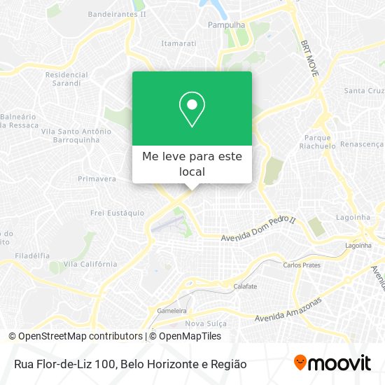 Rua Flor-de-Liz 100 mapa
