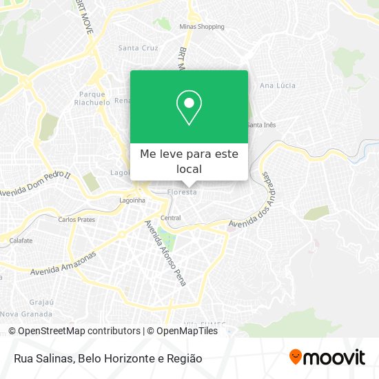 Rua Salinas mapa