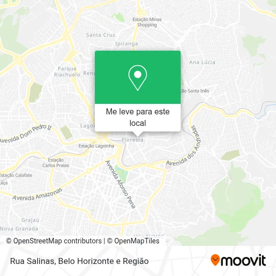 Rua Salinas mapa