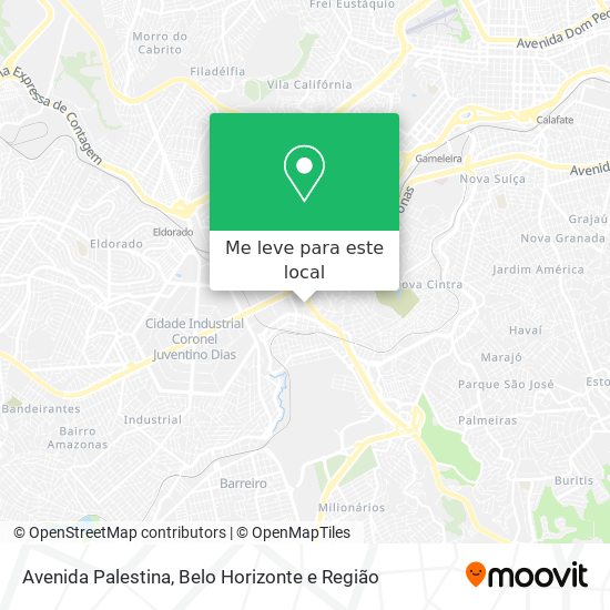 Avenida Palestina mapa