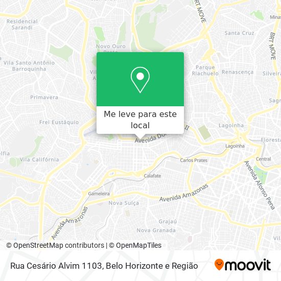 Rua Cesário Alvim 1103 mapa