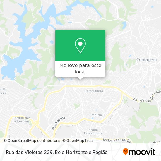 Rua das Violetas 239 mapa