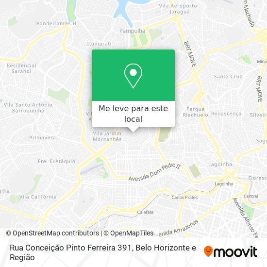 Rua Conceição Pinto Ferreira 391 mapa