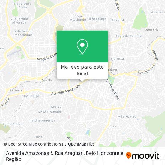 Avenida Amazonas & Rua Araguari mapa