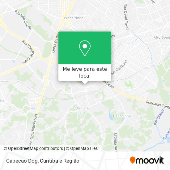 Cabecao Dog mapa
