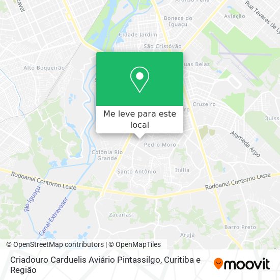 Criadouro Carduelis Aviário Pintassilgo mapa