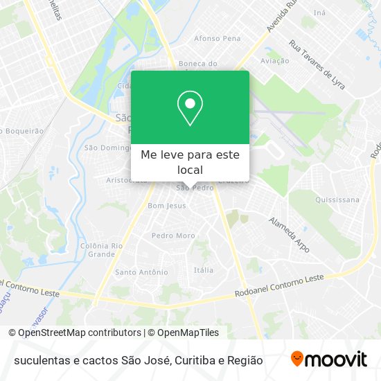 suculentas e cactos São José mapa