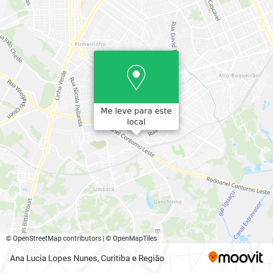 Ana Lucia Lopes Nunes mapa