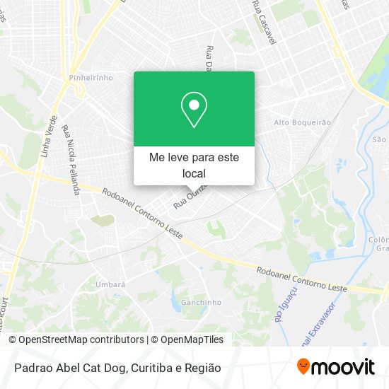 Padrao Abel Cat Dog mapa