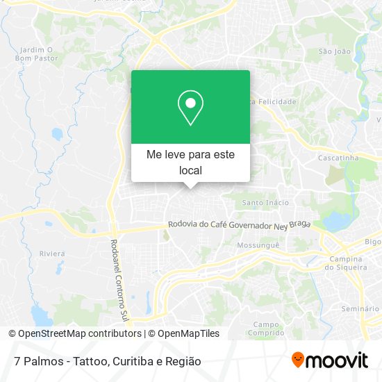 7 Palmos - Tattoo mapa