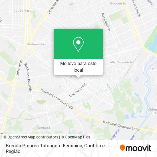 Brenda Poiares Tatuagem Feminina mapa