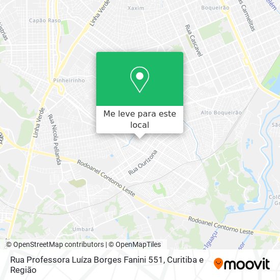 Rua Professora Luíza Borges Fanini 551 mapa