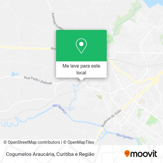 Cogumelos Araucária mapa