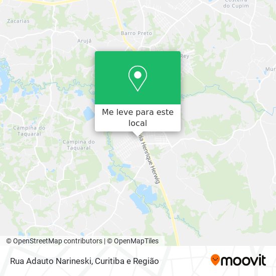 Rua Adauto Narineski mapa