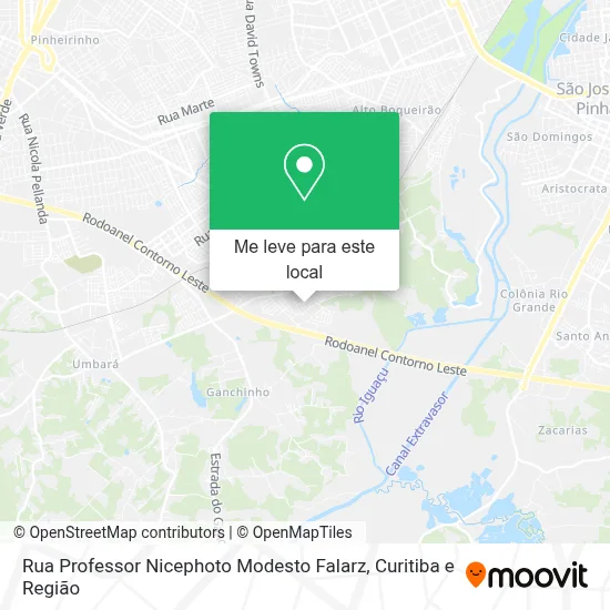 Rua Professor Nicephoto Modesto Falarz mapa