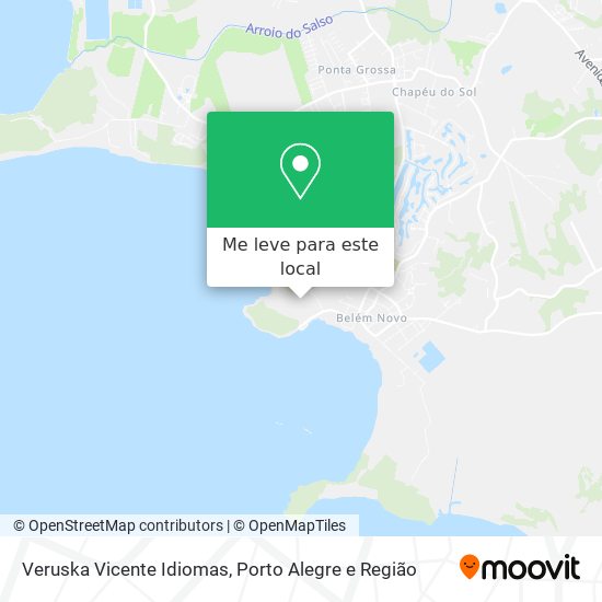 Veruska Vicente Idiomas mapa