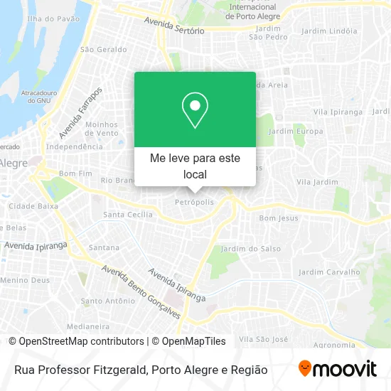 Rua Professor Fitzgerald mapa