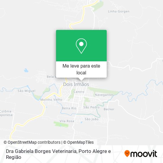 Dra Gabriela Borges Veterinaria mapa