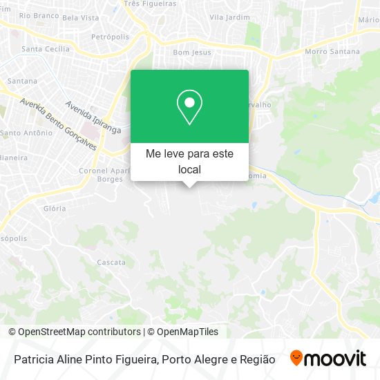 Patricia Aline Pinto Figueira mapa