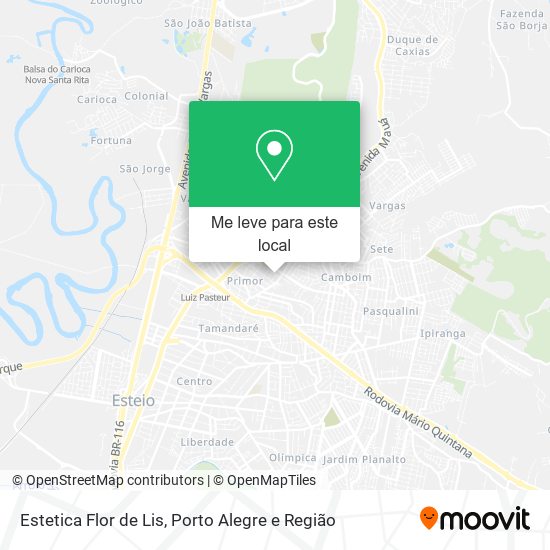 Estetica Flor de Lis mapa