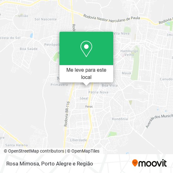 Rosa Mimosa mapa