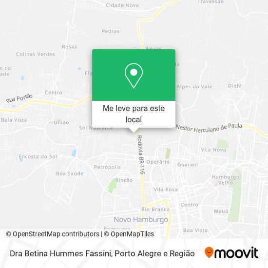 Dra Betina Hummes Fassini mapa