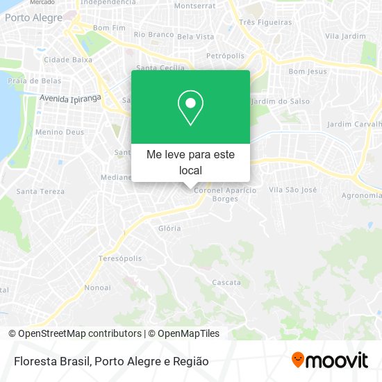 Floresta Brasil mapa