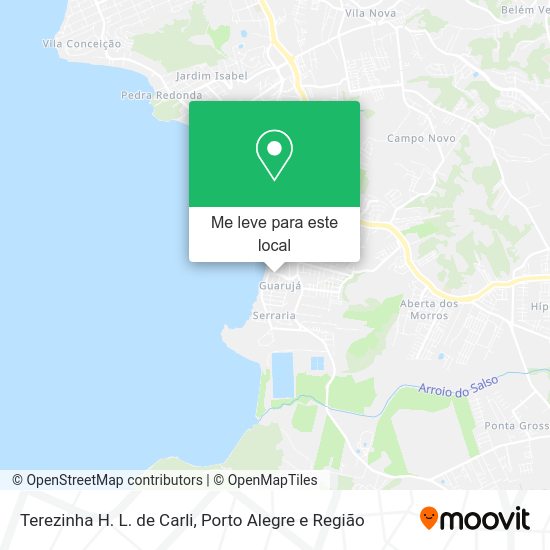 Terezinha H. L. de Carli mapa