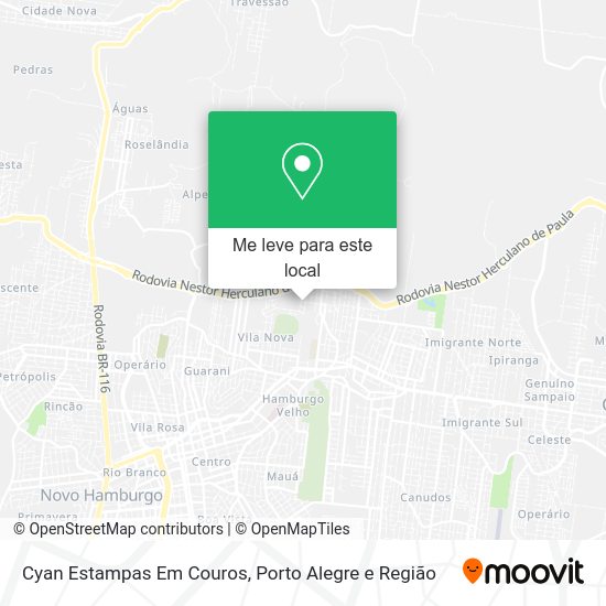 Cyan Estampas Em Couros mapa