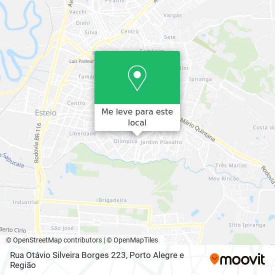 Rua Otávio Silveira Borges 223 mapa