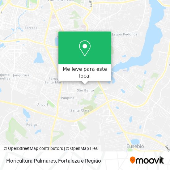 Floricultura Palmares mapa