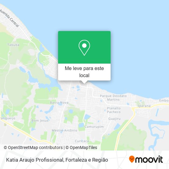 Katia Araujo Profissional mapa