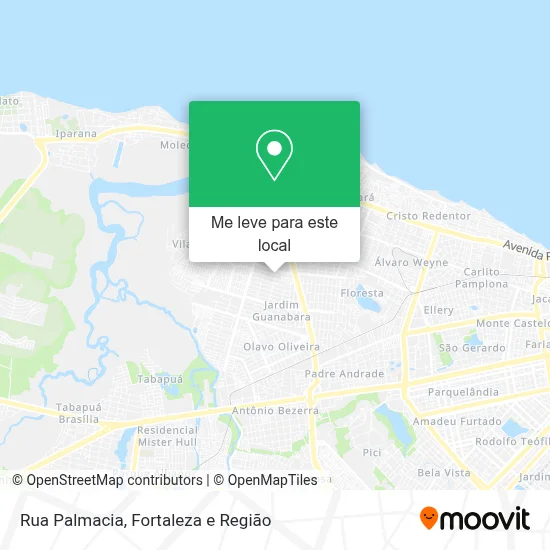 Rua Palmacia mapa