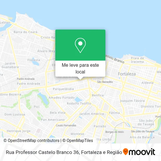 Rua Professor Castelo Branco 36 mapa