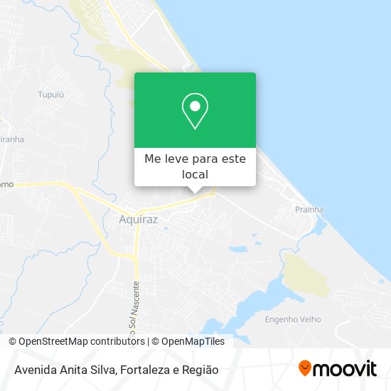 Avenida Anita Silva mapa