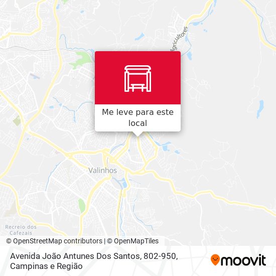 Avenida João Antunes Dos Santos, 802-950 mapa