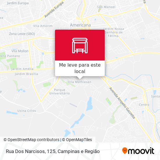 Rua Dos Narcisos, 125 mapa