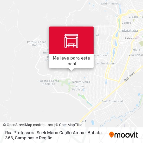 Rua Professora Sueli Maria Cação Ambiel Batista, 368 mapa
