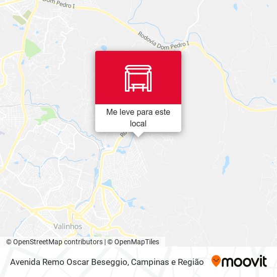 Avenida Remo Oscar Beseggio mapa