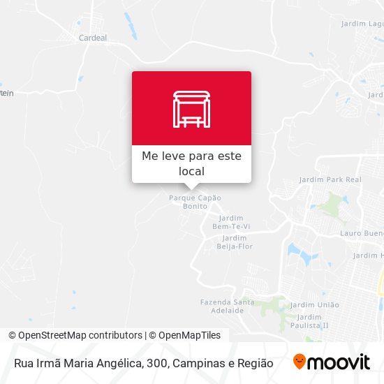 Rua Irmã Maria Angélica, 300 mapa