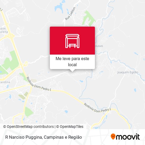 R Narciso Puggina mapa