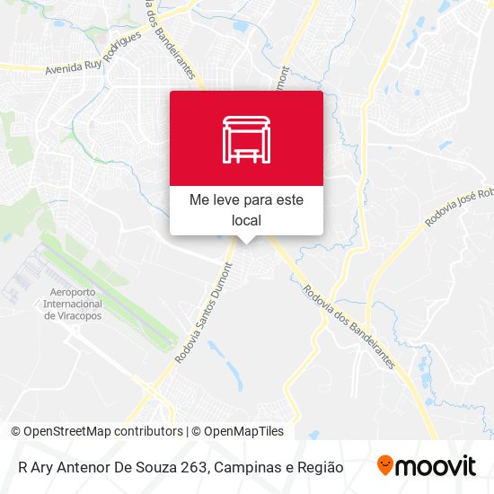 R Ary Antenor De Souza 263 mapa