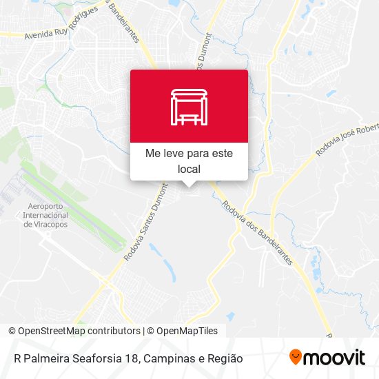 R Palmeira Seaforsia 18 mapa