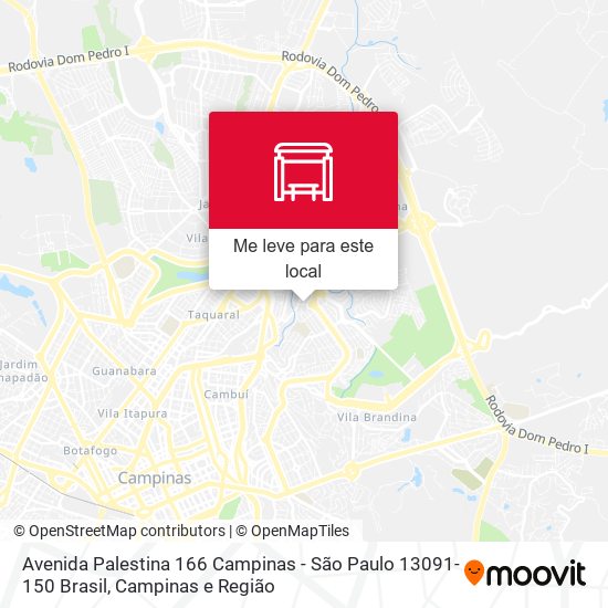Avenida Palestina 166 Campinas - São Paulo 13091-150 Brasil mapa