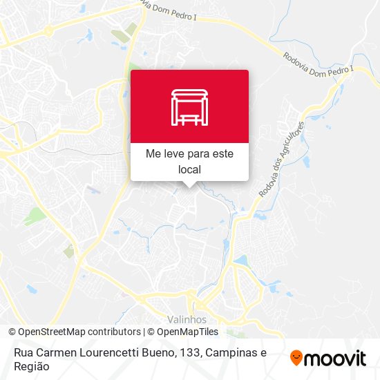 Rua Carmen Lourencetti Bueno, 133 mapa
