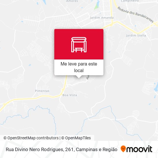 Rua Divino Nero Rodrigues, 261 mapa