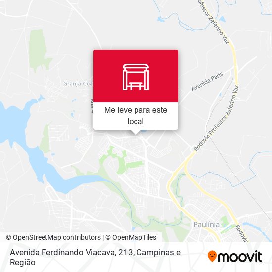 Avenida Ferdinando Viacava, 213 mapa